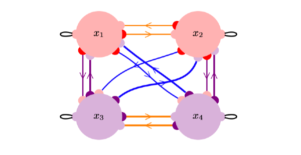 The Lie algebraic structure of colored networks